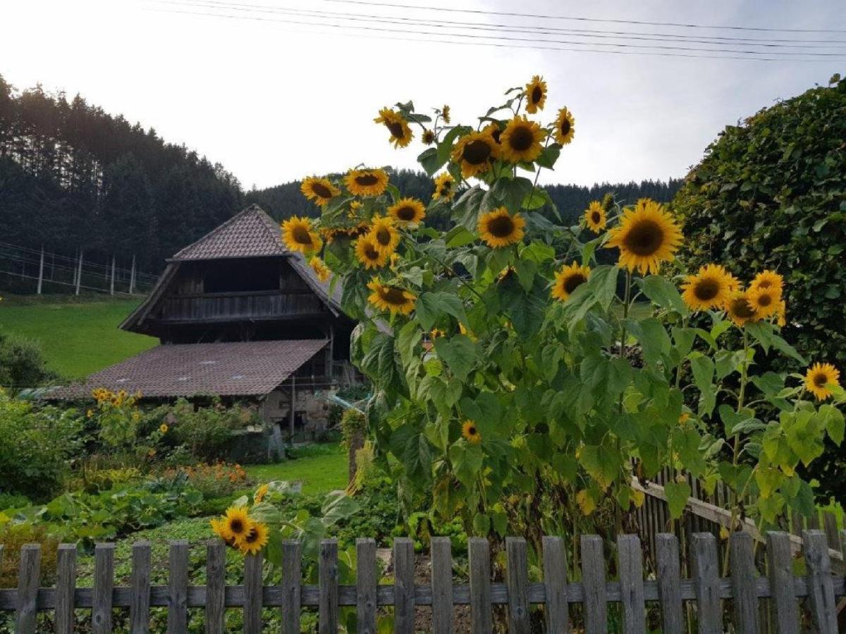 Hotel Walkenstein Oberwolfach Exterior foto